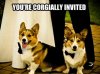 corgiallyinvited.jpg