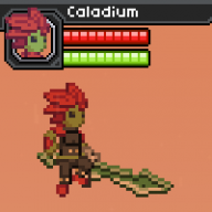 Caladium