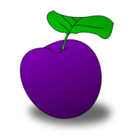 Plum Drupe