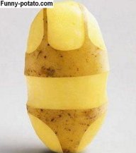 PotatoSexMachine